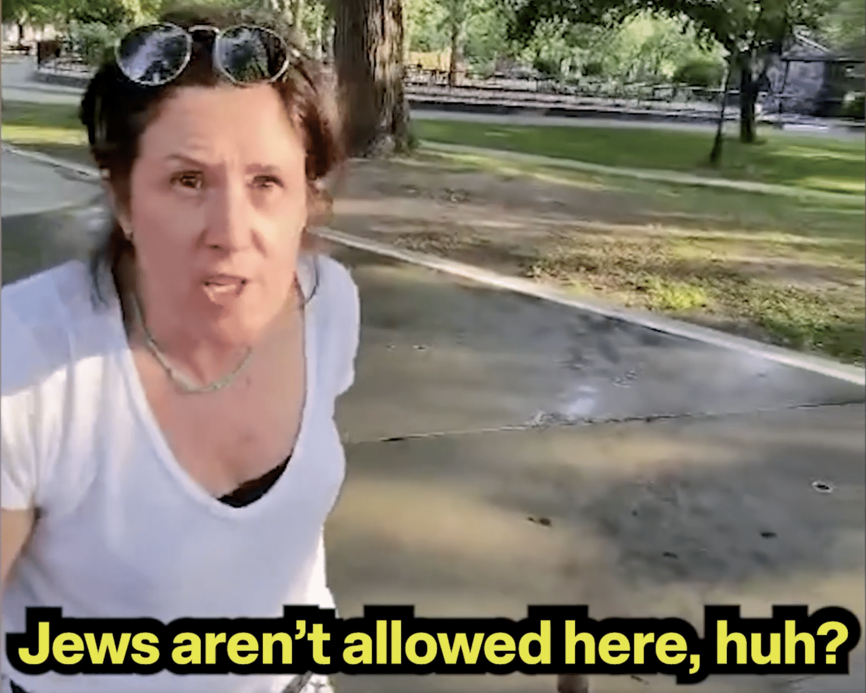 Woman confronts a Jewish family in Montreal's La Fontaine Park during an antisemitic incident captured on video.